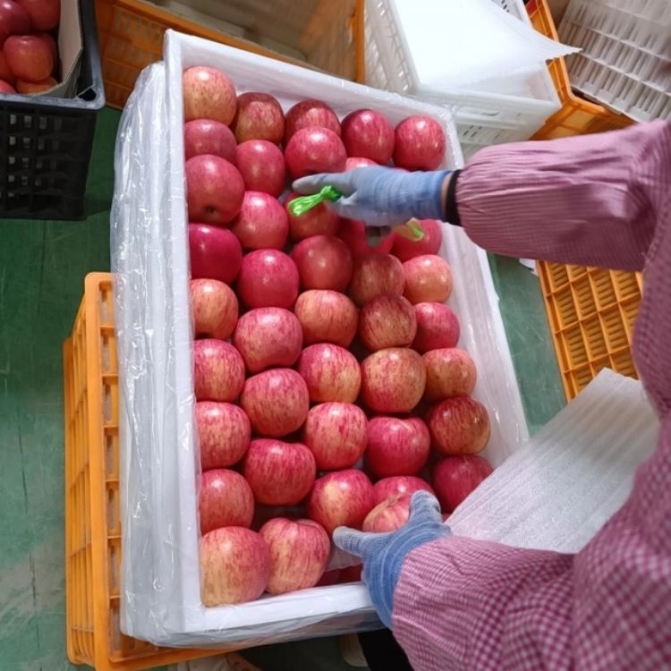 豪聯(lián)塑業(yè)案例展示