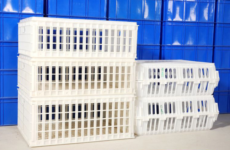 興龍雞籠箱--養(yǎng)雞養(yǎng)鴨用